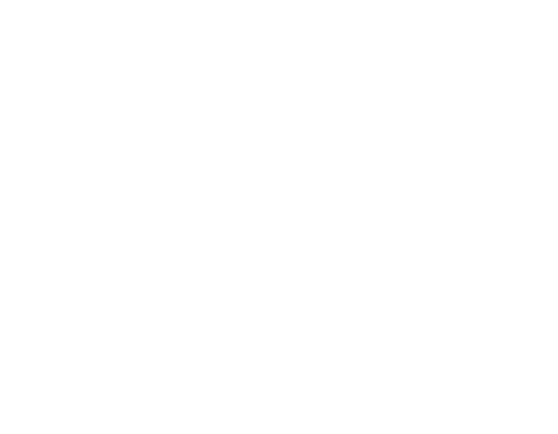 Bjørkengen Gård AS